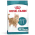 Royal Canin hrana za mačke Ageing +11 2kg