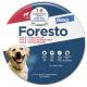 FORESTO ogrlica