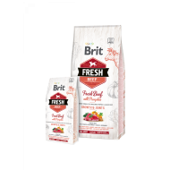 Brit Fresh Beef with Pumpkin Puppy Large 12kg