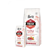 Brit Fresh Beef with Pumpkin Puppy Large 12kg