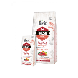 Brit Fresh Beef with Pumpkin Puppy Large 12kg