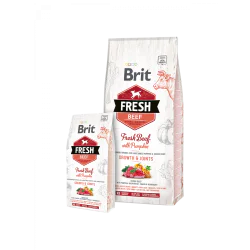 Brit Fresh Beef with Pumpkin Puppy Large 12kg