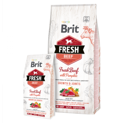 Brit Fresh Beef with Pumpkin Puppy Large 12kg
