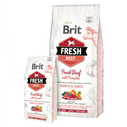 Brit Fresh Beef with Pumpkin Puppy Large 12kg