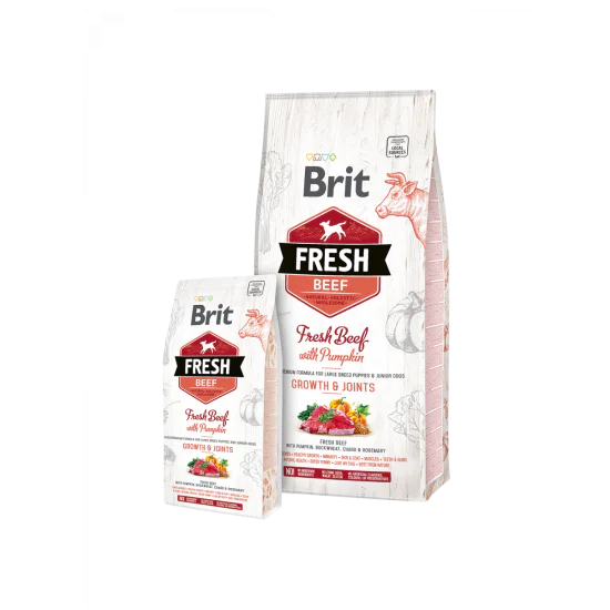 Brit Fresh Beef with Pumpkin Puppy Large 12kg