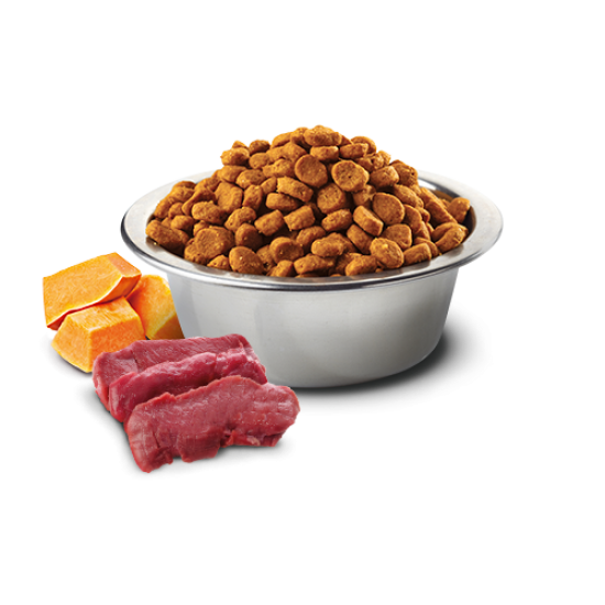 N&D Pumpkin hrana za pse Adult Mini - Srneće meso i jabuka 2kg