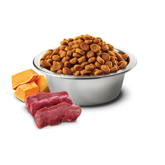 N&D Pumpkin hrana za pse Adult Mini - Srneće meso i jabuka 2kg