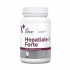 VetExpert Hepatiale forte large breeds 40kom