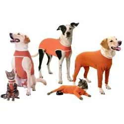 Copper Body postoperativno odelo za pse i mačke - 4 Legs 00