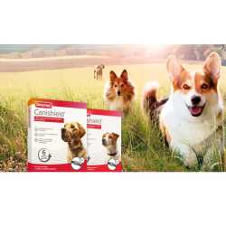 Beaphar Canishield ogrlica protiv buva i krpelja za male pse - S/M 48cm