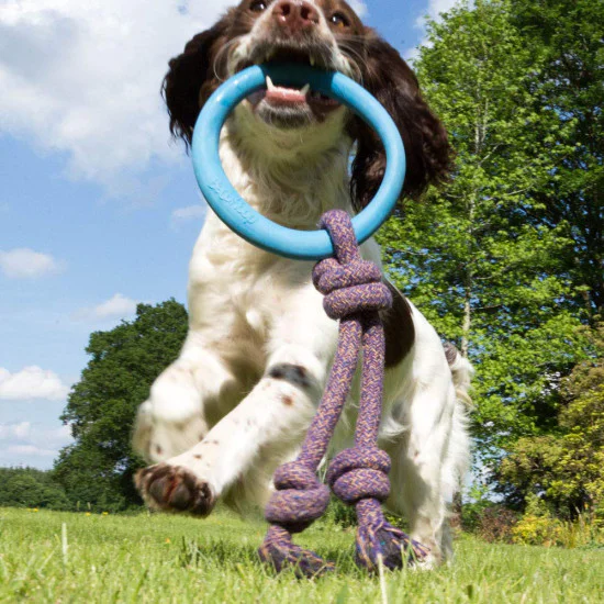 BECO Hoop on rope L Blue 37cm