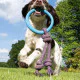 BECO Hoop on rope L Blue 37cm