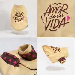 El Shapo Duks Amor de mi vida