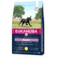 Eukanuba hrana za pse Puppy Large Breed Chicken 2kg