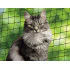 Nobby Cat Safety Net Black - L 8x3m