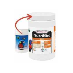 Versele Laga hrana za ptice Nutribird Lori 700g