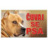 Tabla Čuvaj se psa - Pit bul 20x12.5cm