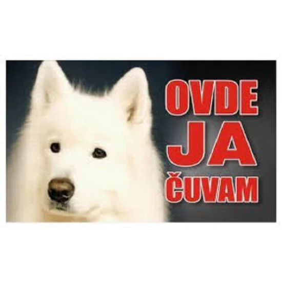 Tabla Ovde ja čuvam - Samojed 20x12.5cm Tabla Ovde ja čuvam - Samojed 20x12.5cm