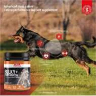 BIO PetActive Bulky + Power Protein 368g