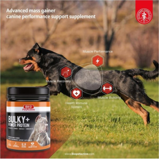 BIO PetActive Bulky + Power Protein 368g