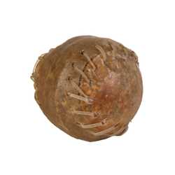 Trixie Chewing Ball 75g