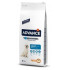 Advance Dog - Maxi Adult 18kg