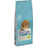 DOG CHOW hrana za pse Puppy All breeds - Jagnjetina 14kg