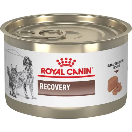 Royal Canin veterinarska dijeta dog&cat Recovery 195g Royal Canin veterinarska dijeta dog&cat Recovery 195g