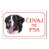 Tabla Čuvaj se psa - BERNSKI PLANINSKI PAS