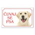 Tabla Čuvaj se psa - LABRADOR BELI