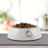PLATINUM Simon's Cat posuda za mačke 160ml