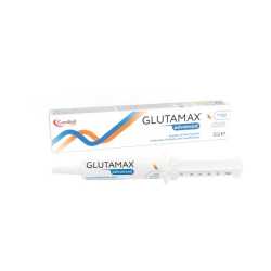 Candioli Glutamax Advanced pasta za mačke 30ml