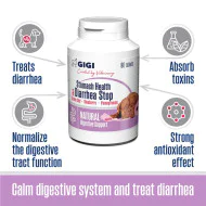 GIGI Stomach Health&Diarrhea Stop for large dogs za zdravlje stomaka 30 tableta