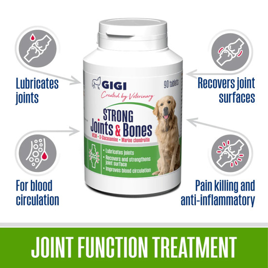 GIGI Strong  Joints & Bones za jake zglobove i kosti 90 tableta