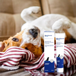 Orthomol VET Canimol Prebiot Tube 100ml