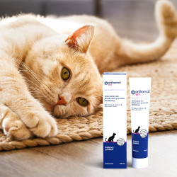 Orthomol VET Felimol Prebiot Tube 100ml