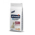 Advance Dog - Maxi Senior 12kg