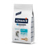 Advance Cat Kitten - Chicken&Rice 1.5kg