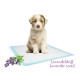 Nobby Pelene prostirke za pse - Lavanda 60x60 10kom
