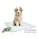 Nobby Pelene prostirke za pse - Lavanda 60x60 10kom