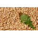 Buda Pets Pelet za ljubimce - Wood 2kg