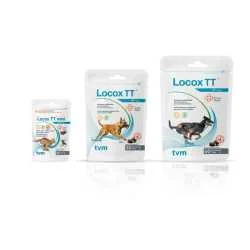 Locox TT za podršku kostima i zglobovima 30kom