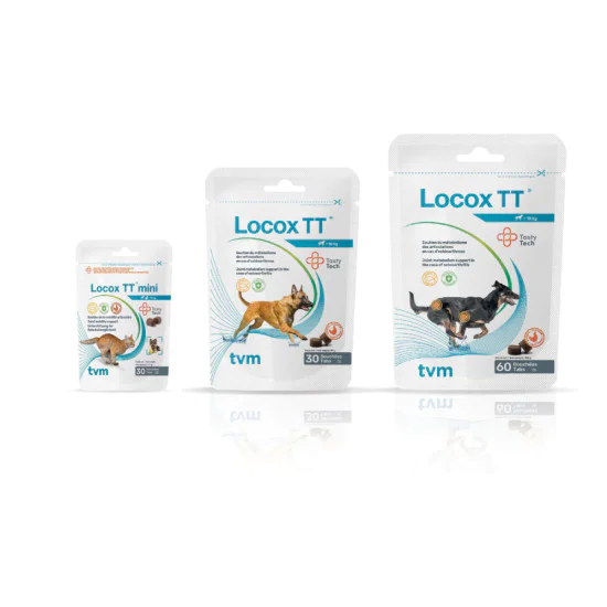 Locox TT za podršku kostima i zglobovima 30kom