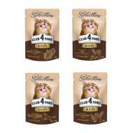 Club4Paws Selection sos za mačke Cat - Komadići atlantske i baltičke haringe u želeu 80g