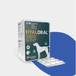 Pharmadiet Hyaloral Large&Gigant breed 120 tableta