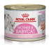 Royal Canin hrana za mačke pašteta Babycat Instinctive 195g