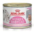 Royal Canin hrana za mačke pašteta Babycat Instinctive 195g