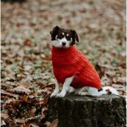 Klupko Pet Dzemper za pse S 34-36cm