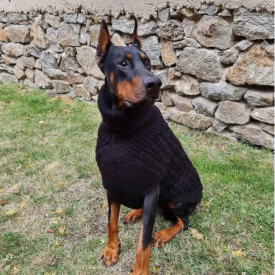 Klupko Pet Dzemper za pse L 42-46cm