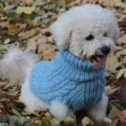 Klupko Pet Dzemper za pse L 42-46cm